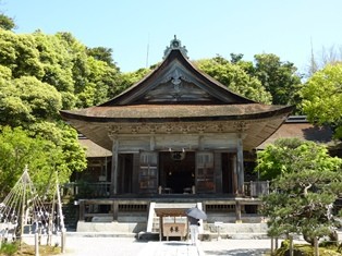 写真