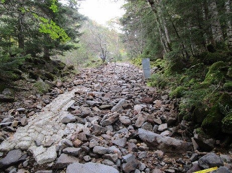 桜平登山口の上