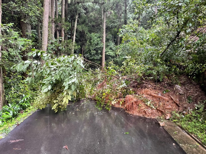 倒木により道路が寸断（八女市上陽町）