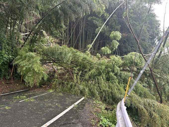 台風19号災害記録集 熊本市 リサイクル本 平成5年3月発行 希少本 1991(平成3)年台風19号による 風倒木被害 – 熊本の地質調査