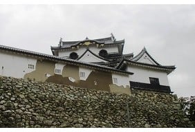 平成29年台風21号被害修復支援
