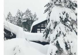 平成30年福井県鯖江市雪害復旧支援