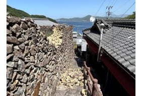 令和6年 愛媛県・高知県地震