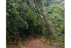 令和6年8月台風10号・豪雨