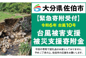 【令和6年台風10号被害支援緊急寄附受付】大分県佐伯市災害応援寄附金（返礼品はありません）