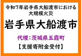 令和7年岩手県大船渡市における大規模火災