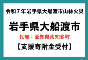 令和7年岩手県大船渡市における大規模火災