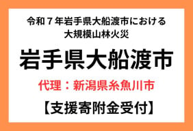 令和7年岩手県大船渡市における大規模火災