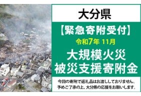 【ふるさと納税】【令和7年11月大規模火災被災支援緊急寄附受付】大分県災害応援寄附金（返礼品はありません）
