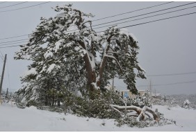 令和8年青森県外ヶ浜町豪雪災害
