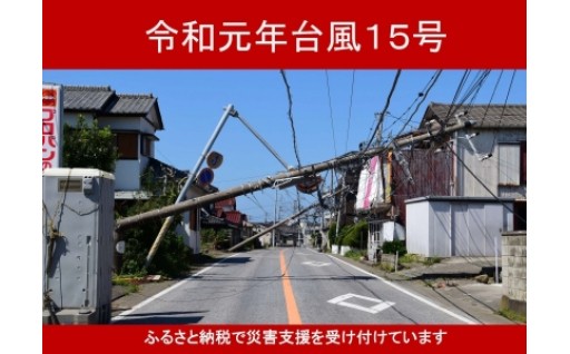 令和元年台風15号による被害　対応状況について
