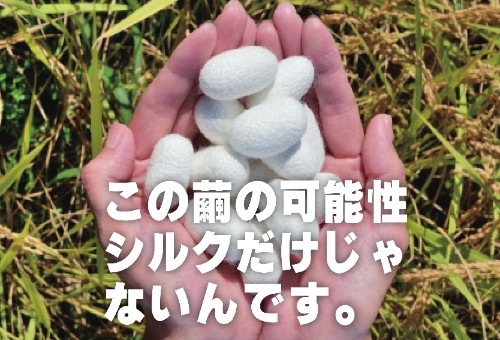 main_img