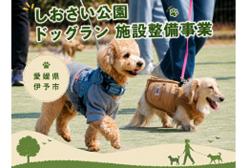 main_img