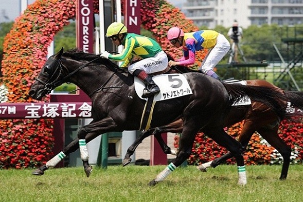 ≪2017.06.03更新≫
サトノエトワール 6月3日に岡山県吉備中央町へ