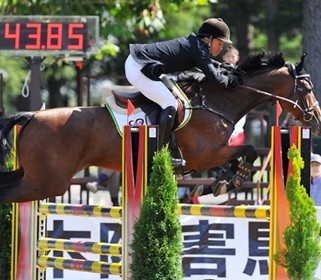 障害飛越競技馬