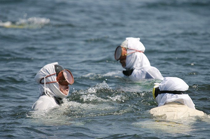 海女が将来にわたり操業できるよう 海女道具の補助やアワビ等の種苗放流などを実施し 海女さん を未来に残したい ふるさと納税のガバメントクラウドファンディングは ふるさとチョイス