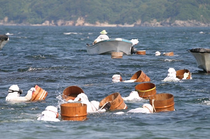 海女が将来にわたり操業できるよう、海女道具の補助やアワビ等の種苗放流などを実施し、海女 さんを未来に残したい。｜ふるさと納税のガバメントクラウドファンディングは「ふるさとチョイス」