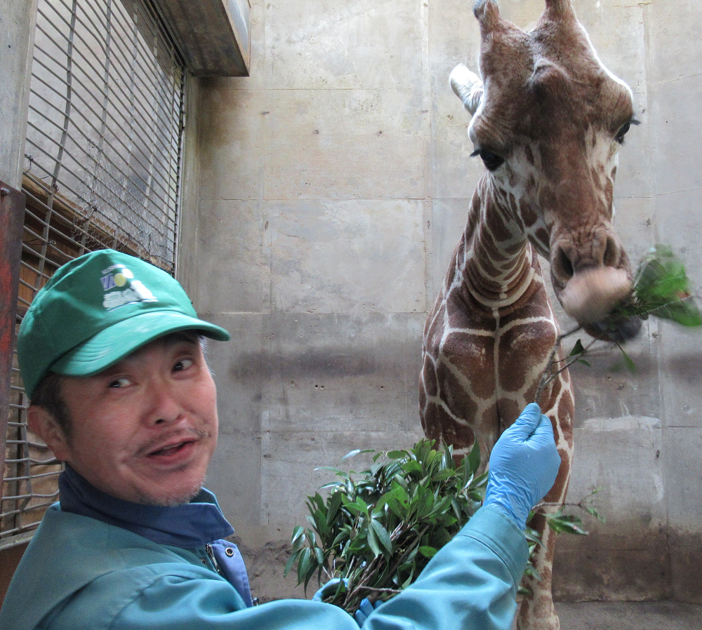 いのちをつむぐ コハクくんに安全で快適な住まいを 何度でも来たくなる動物園をめざして ふるさと納税のガバメントクラウドファンディングは ふるさとチョイス