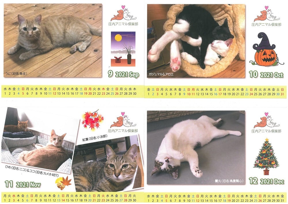 ●動物カレンダー（動物保護団体アニマル倶楽部監修）