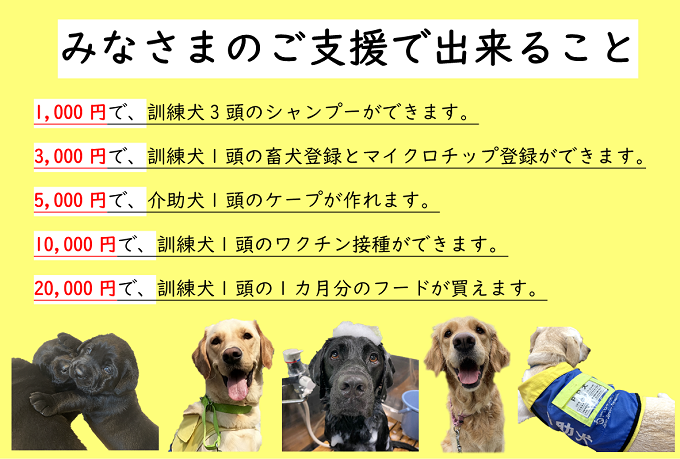 受付継続中！）犬を通して笑顔の輪を広げたい！【日本介助犬協会の活動支援】｜ふるさと納税のガバメントクラウドファンディングは「ふるさとチョイス」