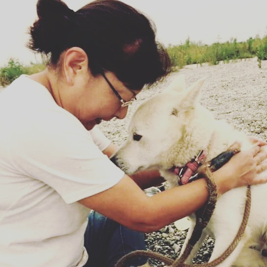 しあわせになるために生まれた 目の前の犬猫の小さな命を救いたい ふるさと納税のガバメントクラウドファンディングは ふるさとチョイス