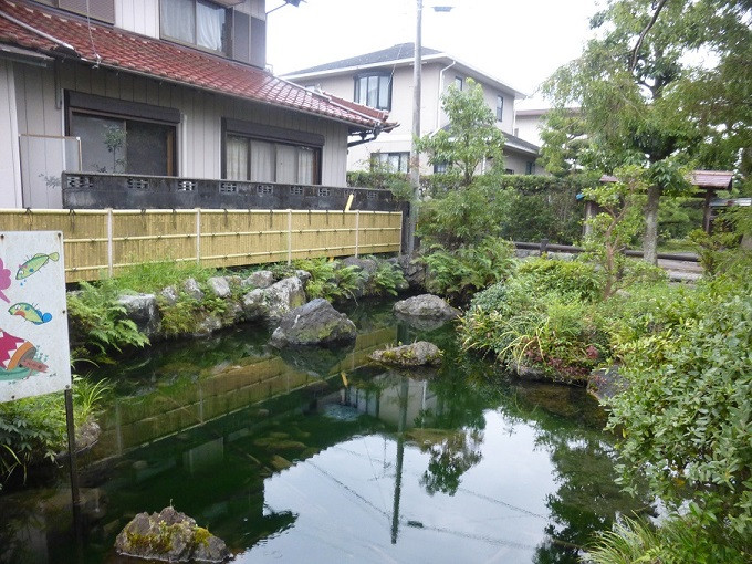 豊かな湧き水に生きるトゲウオ～郷土の宝「ハリンコ」を守りたい！｜ふるさと納税のガバメントクラウドファンディングは「ふるさとチョイス」