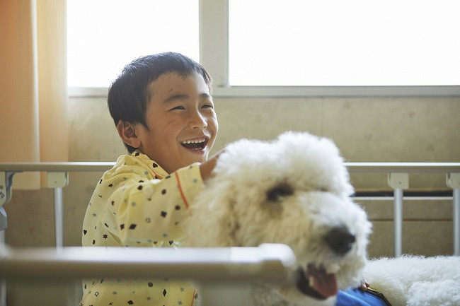 困難を抱える方々に犬を通して笑顔を届けたい！【日本介助犬協会の活動支援】｜ふるさと納税のガバメントクラウドファンディングは「ふるさとチョイス」