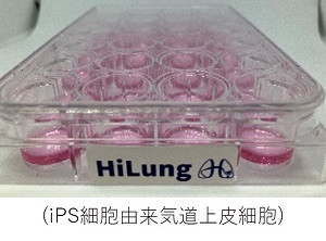 ① HiLung(株) （ハイラング）　ヒトiPS肺細胞で「すべての人に健やかな呼吸を」