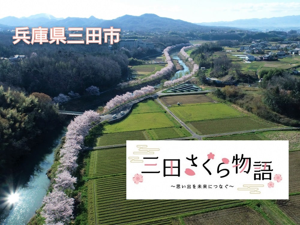 ふるさと三田の風景を次世代につなぐ【三田さくら物語プロジェクト】｜ふるさと納税のガバメントクラウドファンディングは「ふるさとチョイス」