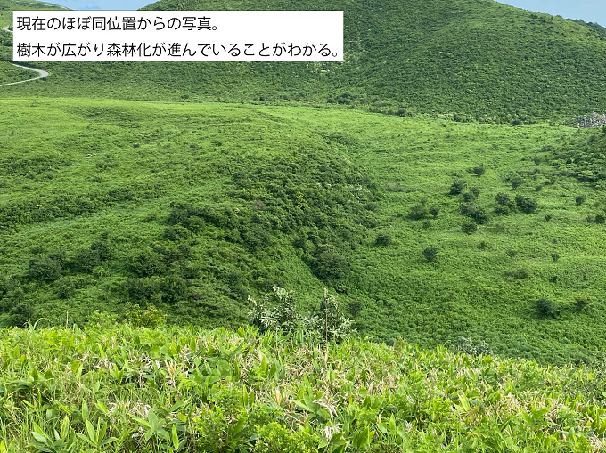 寒風山の美しい景観を未来に残したい！【寒風山・山焼き大規模実施