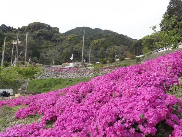 花咲きほこる三谷の里」プロジェクト 豪雨災害から蘇らせたい