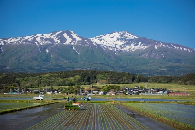 第二弾】豊かな自然と暮らしを守る歴史遺産 クロマツ林を未来の子ども