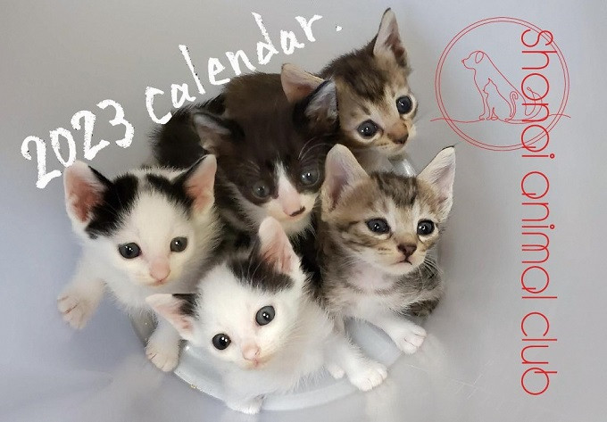 ●動物カレンダー（動物保護団体アニマル倶楽部監修）