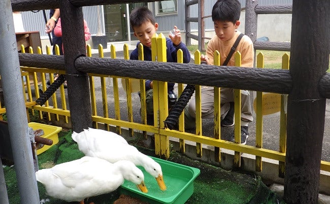 足羽山 動物園 コレクション ベビーカー