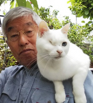 写真