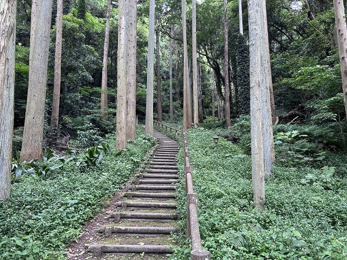 南総里見八犬伝』ゆかりの地、富山（とみさん）の登山道や登山口循環バスを維持し、物語のある山を楽しんでほしい！｜ふるさと納税のガバメントクラウドファンディングは「ふるさとチョイス」