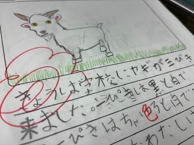 写真