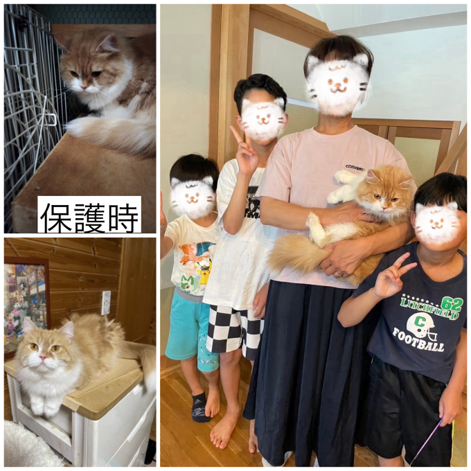 ③飼えなくなったメイ