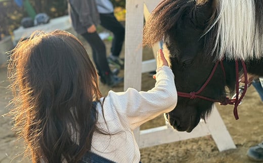 南相馬市ならではの“馬と共に歩む文化”を守り、未来につなぐ｜ふるさと納税のガバメントクラウドファンディングは「ふるさとチョイス」