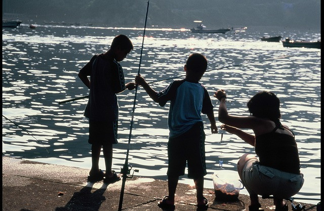 若狭の海の「青さ」を未来の子供たちに！ 地元漁師と海産資源の活用と保全プロジェクト｜ふるさと納税のガバメントクラウドファンディングは「ふるさとチョイス」