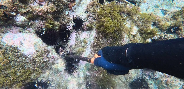 ご支援いただいた資金は、以下の用途にて活用させていただきます。