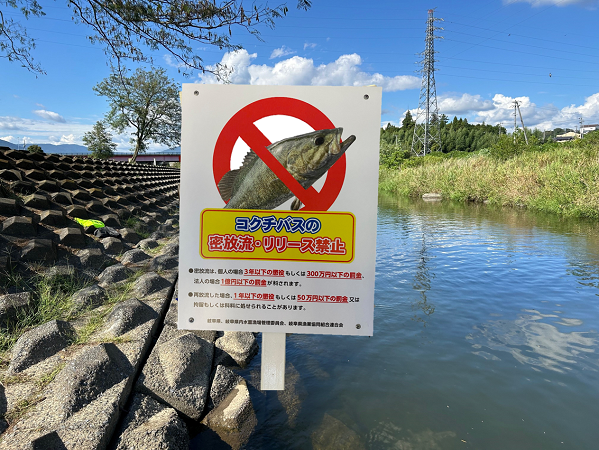 特定外来生物「コクチバス」の密放流を防ぐ看板設置など周知活動にご協力を！｜ふるさと納税のガバメントクラウドファンディングは「ふるさとチョイス」