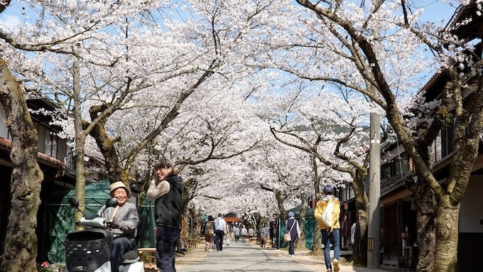 写真
