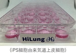 ② HiLung株式会社
ヒトiPS肺細胞で「すべての人に健やかな呼吸を」