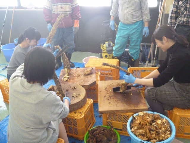 秋田県藤里町で2泊3日の体験プログラム!
