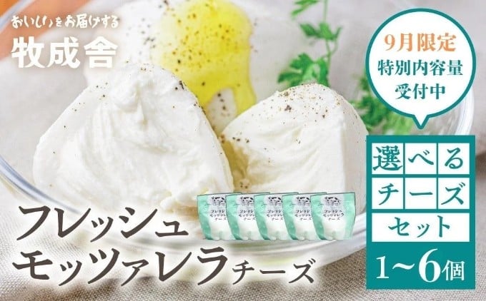↑ このお品を選んでのご寄付はこちらから ↑