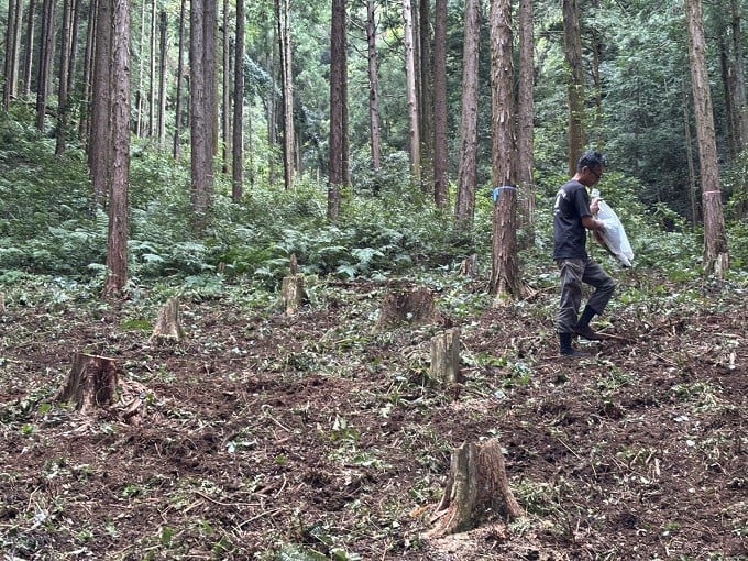 写真