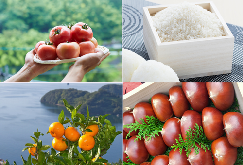 済。8枚。かおるん様専用1名様限定みかん12重ガーゼ格安