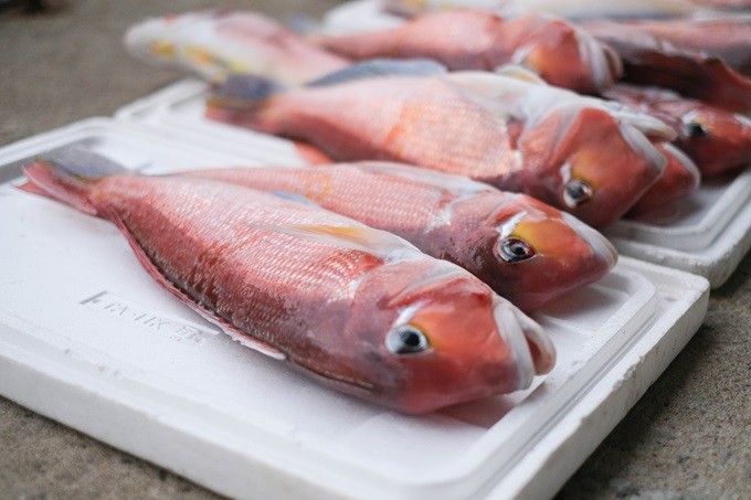 巌流島決闘の段