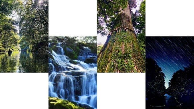 【自然と里山】